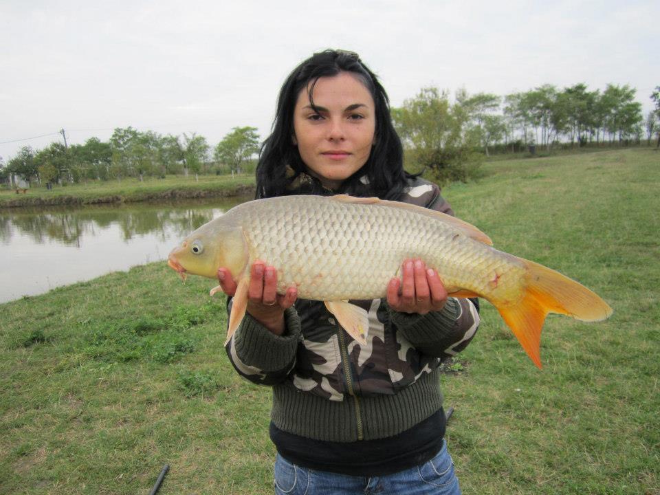 2012-2013 - 6832743775023884351862938683n1.jpg